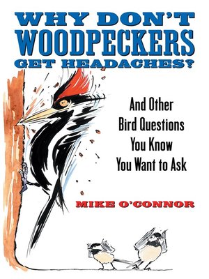 cover image of Why Don't Woodpeckers Get Headaches